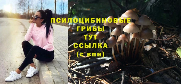 марки lsd Богданович