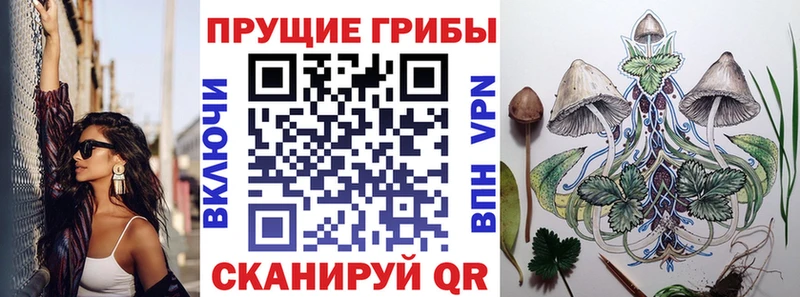 Псилоцибиновые грибы ЛСД  Котово 
